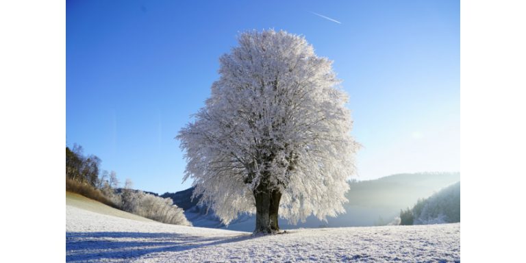como elegir la calefaccion